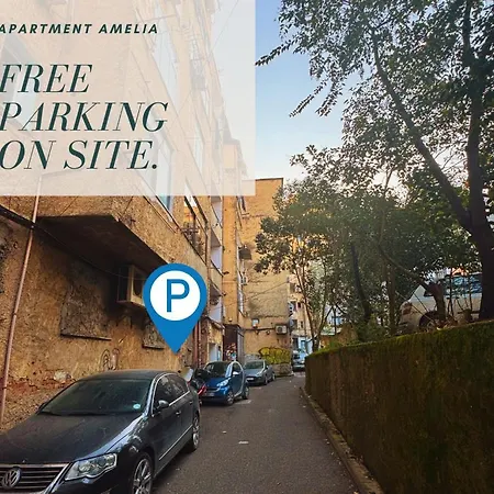 Amelia Comfort Tirana