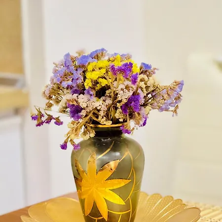 Amelia Comfort Tirana