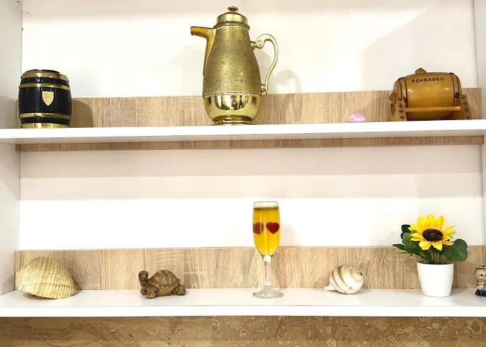 Amelia Comfort * Tirana